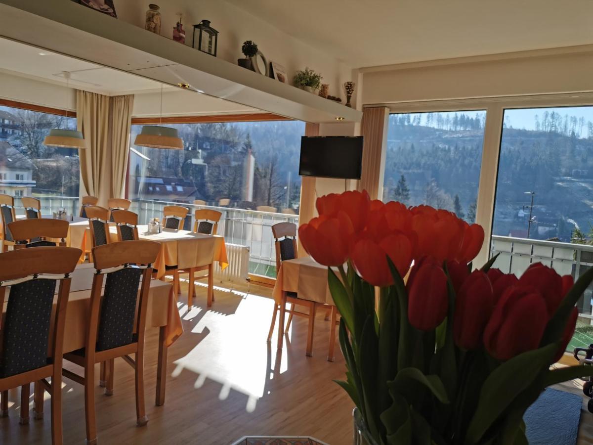 Hotel Pension Jaegerstieg Бад Грунд Екстериор снимка
