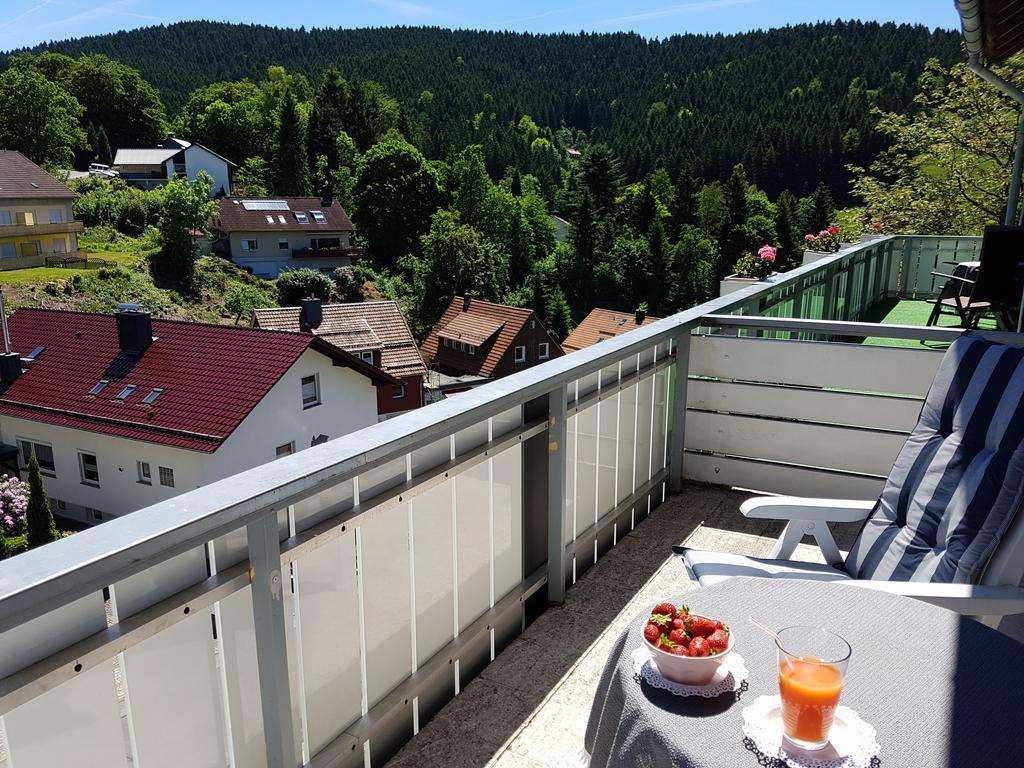 Hotel Pension Jaegerstieg Бад Грунд Екстериор снимка